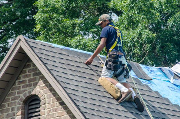 Roof Gutter Cleaning in Brandon, SD